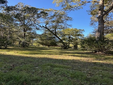 10695 Magnolia Dr, Conroe, TX 77303 - photo 7