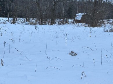 00 Grosbeak Ave, Camp Douglas, WI 54618 - photo 3