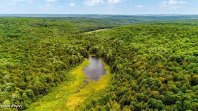 large-b12556e5-e064-483e-95da-6844c4a650