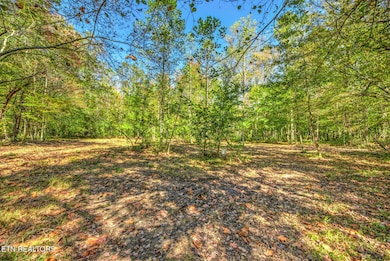 1446 Cove Ln, Oliver Springs, TN 37840 - photo 4