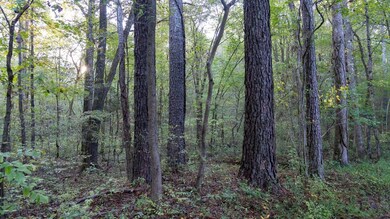 0 Sumatanga Rd, Steele, AL 35987 - photo 5