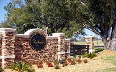 LOT35 Mandiba Dr, Lake City, FL 32024 - photo 4