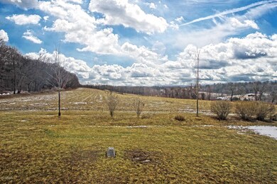 175 Shady Maple Ln, Kunkletown, PA 18058 - photo 4