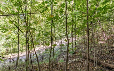 Additional View
