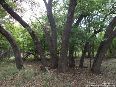 24802 N Saddle Trail, San Antonio, TX 78255 - photo 2