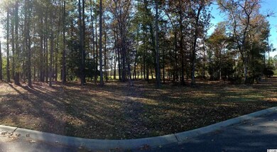 Lot 15 Bantry Ln, Conway, SC 29526 - photo 5