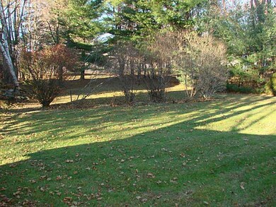 Yard/Garden.
