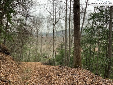 TBD Fall Creek Rd, Purlear, NC 28665 - photo 6