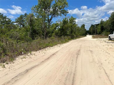 0 NE 66th Ln unit MFRO6262642, Williston, FL 32696 - photo 2
