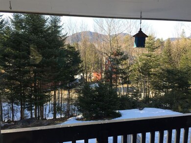 26 Davos Way unit 22, Waterville Valley, NH 03215 - photo 4