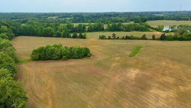 166 Kerrick Ln, Hodgenville, KY 42748 - photo 4