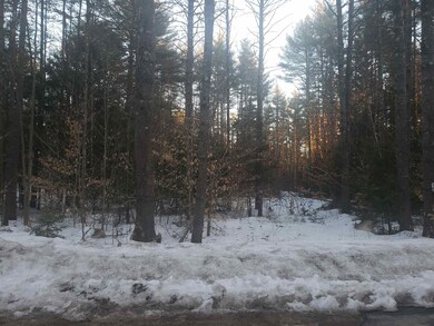 39 Poliquin Dr unit 39, Conway, NH 03818 - photo 4