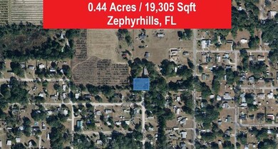 0 Conley St, Zephyrhills, FL 33541 - photo 3
