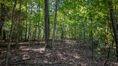 Lot 16 Riverbend Rd, Mammoth Spring, AR 72554 - photo 3