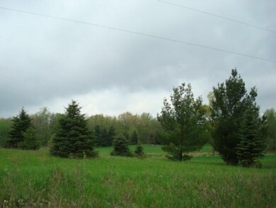 0 Woodbridge Rd unit 13026328, Camden, MI 49232 - photo 7