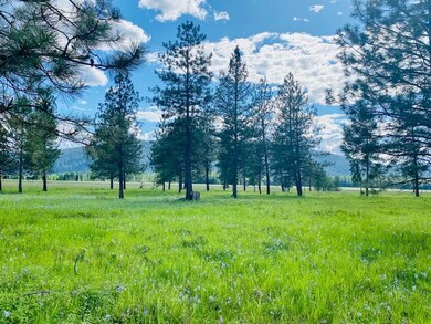 3817 Mt Highway 200, Trout Creek, MT 59874 - photo 2