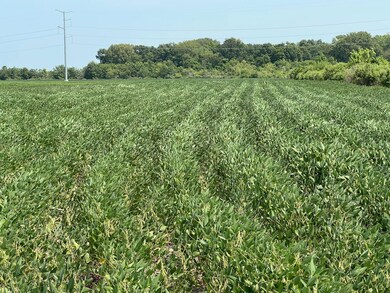 00 Sandy Bend Rd, Frederick, IL 62639 - photo 4