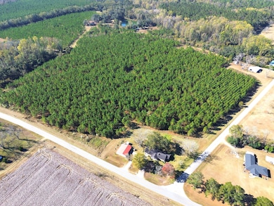 Birdford Lake Rd, Glennville, GA 30427 - photo 7