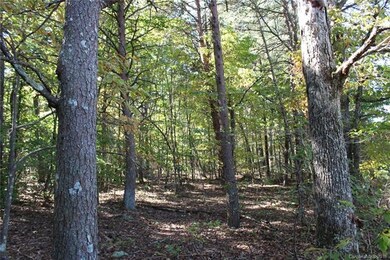 18AC Wilkesboro Hwy, Statesville, NC 28625 - photo 4