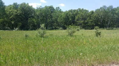 v/L W 17 Mile Rd, Lilley Township, MI 49309 - photo 4