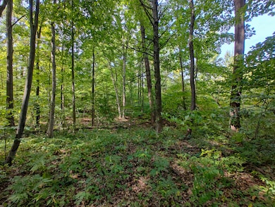 IMG_20250909_132504882_HDR