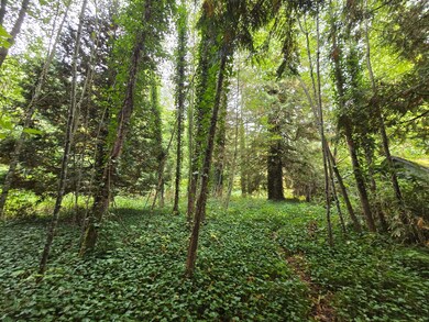 22123 NE 170th Place, Woodinville, WA 98077 - photo 6