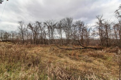 IMG_7592
