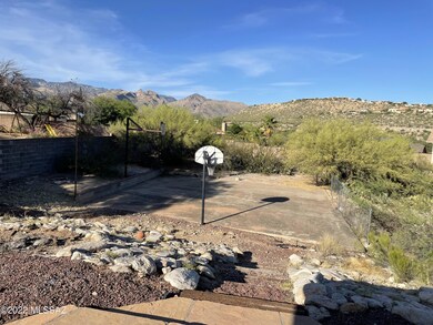 Backyard #2