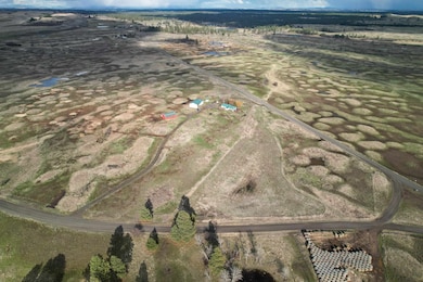 NKA Pine Springs Rd unit Parcel  02226.9013, Cheney, WA 99004 - photo 2