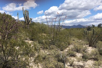 North View of Catalina Foothills