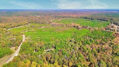 Drone / aerial view with a view of trees