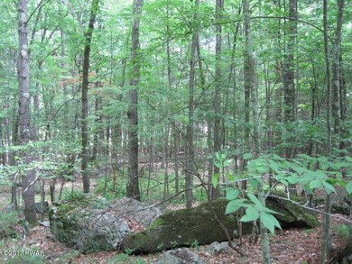 Lot 738 Tink Wig Dr, Lackawaxen Township, PA 18428 - photo 5