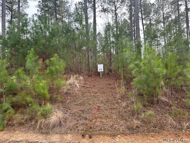 55 Sail View Ln, Macon, NC 27551 - photo 3