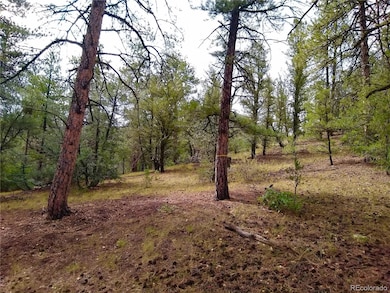 000 Gold Pan Trail, Cotopaxi, CO 81223 - photo 4