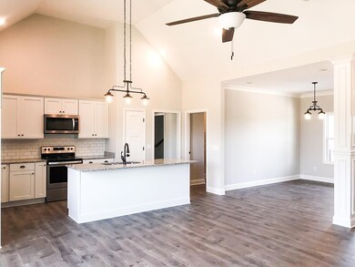 713A N Russell St, Portland, TN 37148 - photo 7