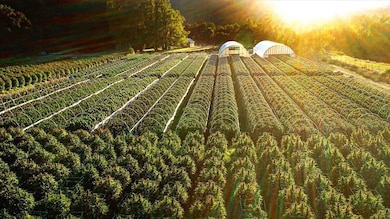 220 Wilder Ridge Rd, Honeydew, CA 95545 - photo 5