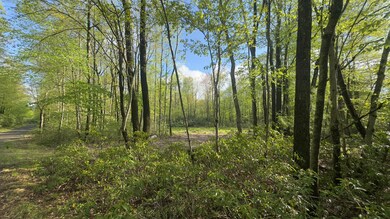 0 Butternut Road & Mahogany Rd, Jim Thorpe, PA 18229 - photo 4