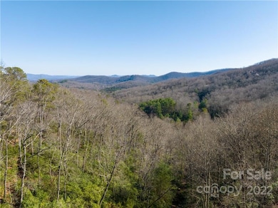000 Mills River Way unit 101, Horse Shoe, NC 28742 - photo 7