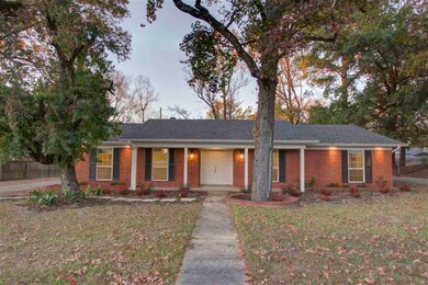 203 Redwater Rd, Wake Village, TX 75501 - photo 3