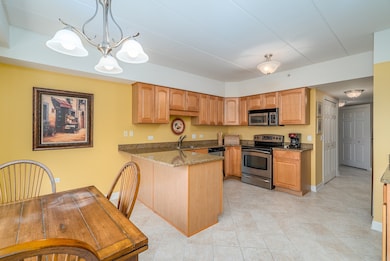 14100 Sheffield Dr unit 302, Homer Glen, IL 60491 - photo 6