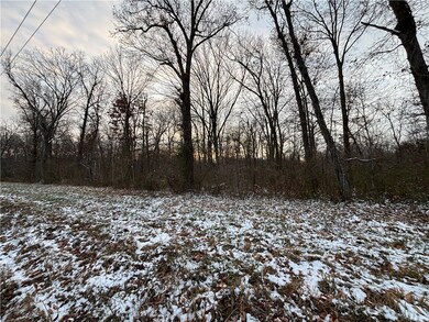 0 Kings Hill Rd, Sumner, IL 62466 - photo 4