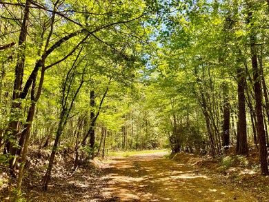 889 Rd, Minden, LA 71055 - photo 7