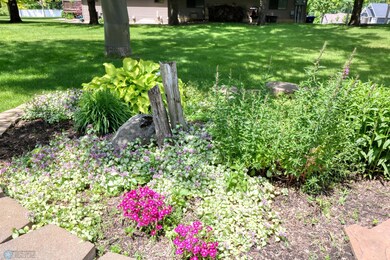 Per-annual plants