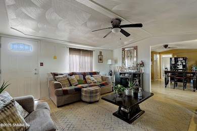 800 E Lisa Dr, Chaparral, NM 88081 - photo 6