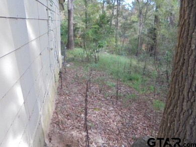 10250 County Road 3197, Arp, TX 75750 - photo 4