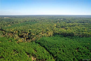 000 Concord Rd, Caroline, VA 22546 - photo 5