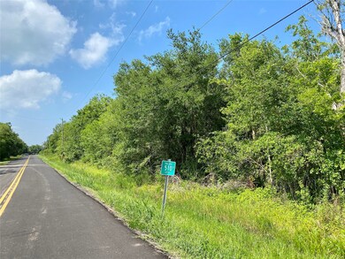 0 Ramble Wood Dr unit 82524722, Brazoria, TX 77422 - photo 4