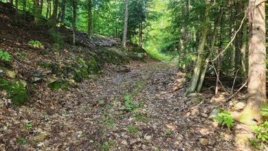 TBD1 Valley Rd, New Durham, NH 03855 - photo 7