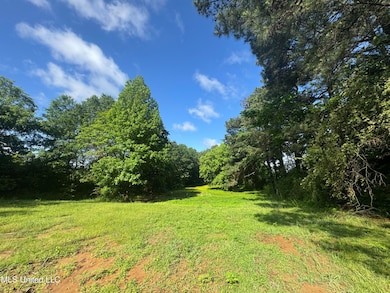 7231 N Hamilton Cir, Olive Branch, MS 38654 - photo 5