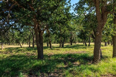 Lot 7 Kopper Kettle Ln unit 7, Fredericksburg, TX 78624 - photo 2